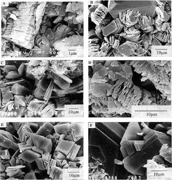 Visible Platelets of Kaolinite