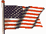 USA Flag