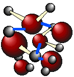 Water molecules